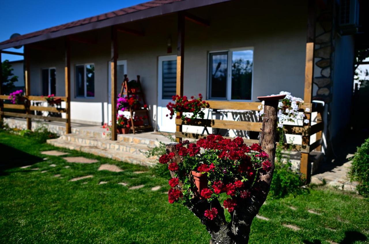 Къща За Гости Ваканция Ezerets Exterior foto